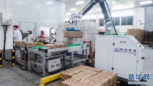 聚焦高質量發展 福建晉江 5g 工業互聯網 助食品產業 智慧 升級