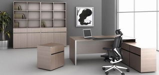 辦公室裝修中植物的配置